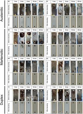 Microbiologically influenced corrosion of stainless steel independent of sulfate-reducing bacteria